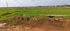 Plot Area in  Plot at Patrapada – for Sale