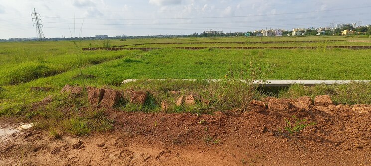 undefined, patrapada  1650 Sq.Yd. Plot In Patrapada Bhubaneswar 9086831