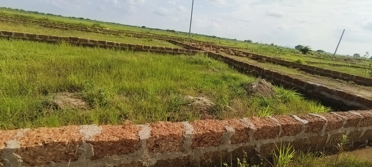 undefined, patrapada  1650 Sq.Yd. Plot In Patrapada Bhubaneswar 9086831