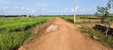 Plot Area in  Plot at Patrapada – for Sale