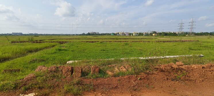 undefined, patrapada  1650 Sq.Yd. Plot In Patrapada Bhubaneswar 9086831