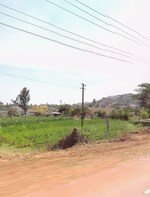 40 Acre Plot in Nandi Hills
