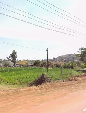  Plot For Sale in Nandi Hills