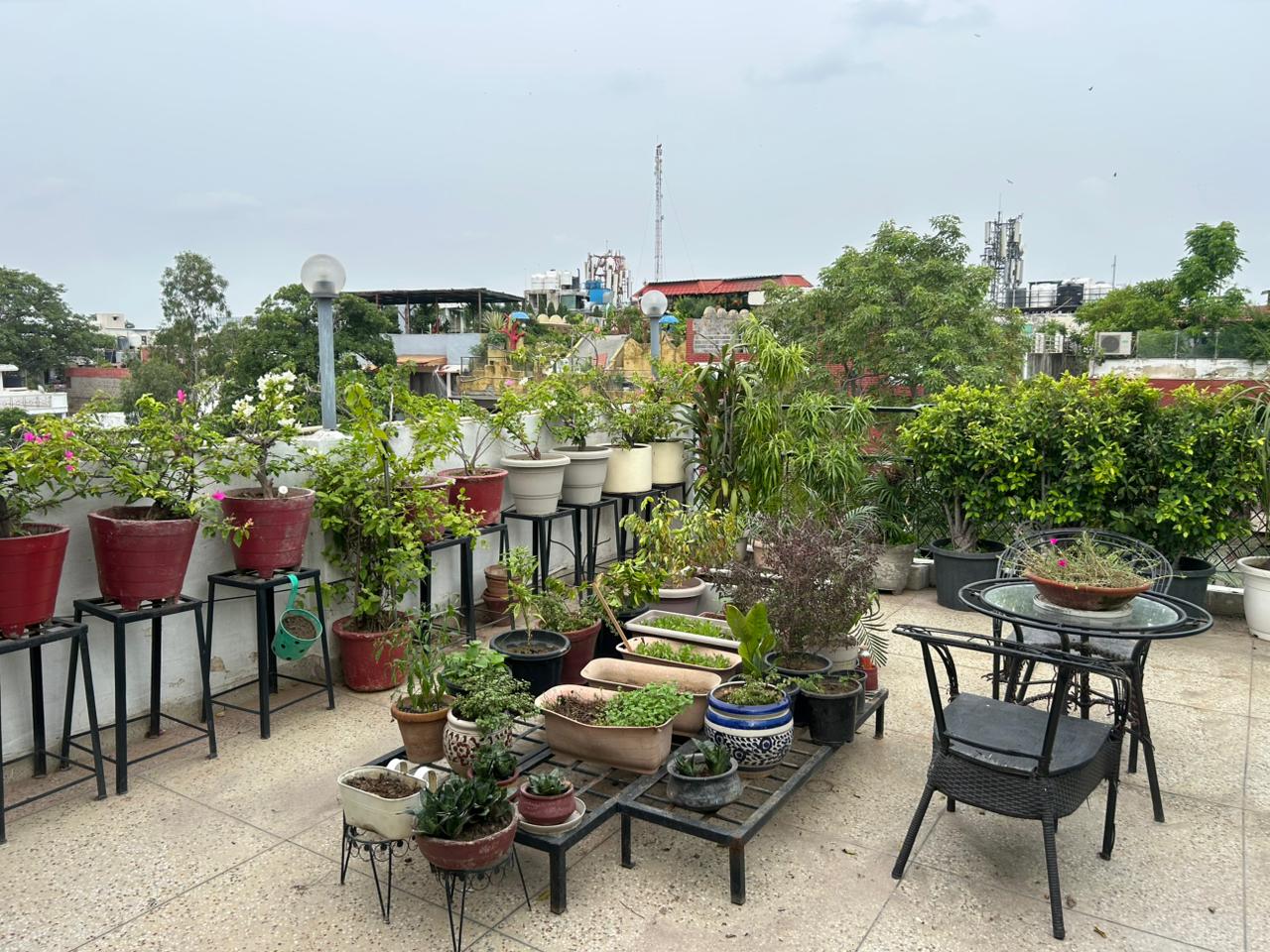 2 BHK Apartment For Rent in Supertech Ecovillage II