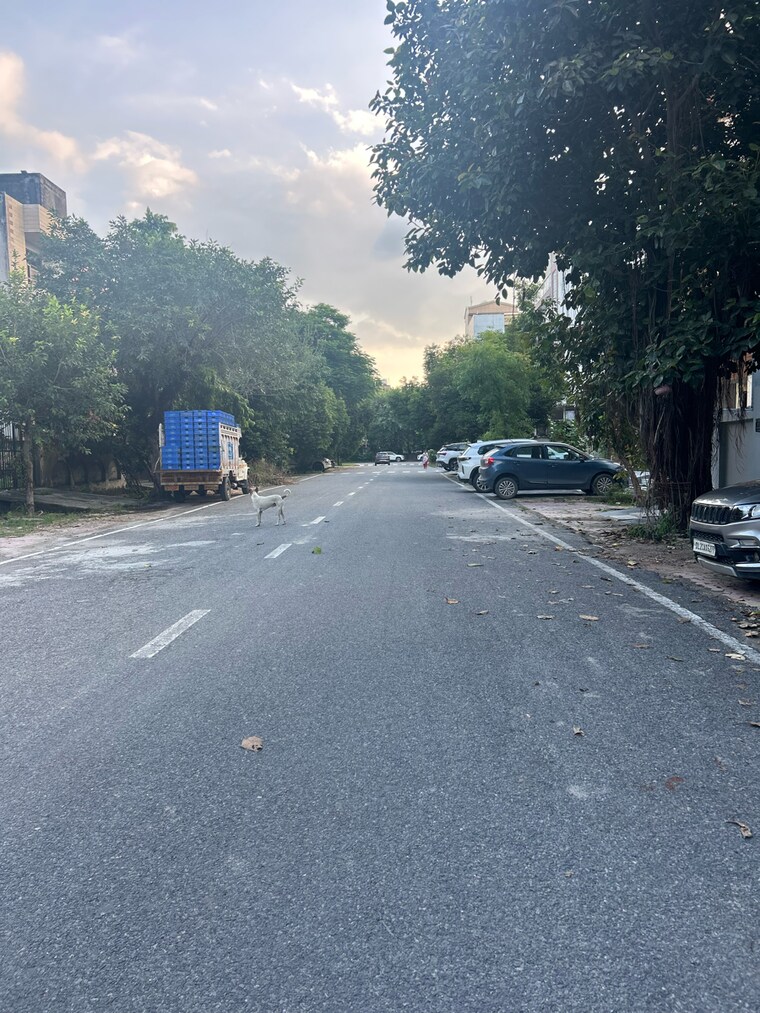 Exterior View, sector 100 2 Bedroom 112 Sq.Yd. Independent House In Sector 100 Noida 9087668