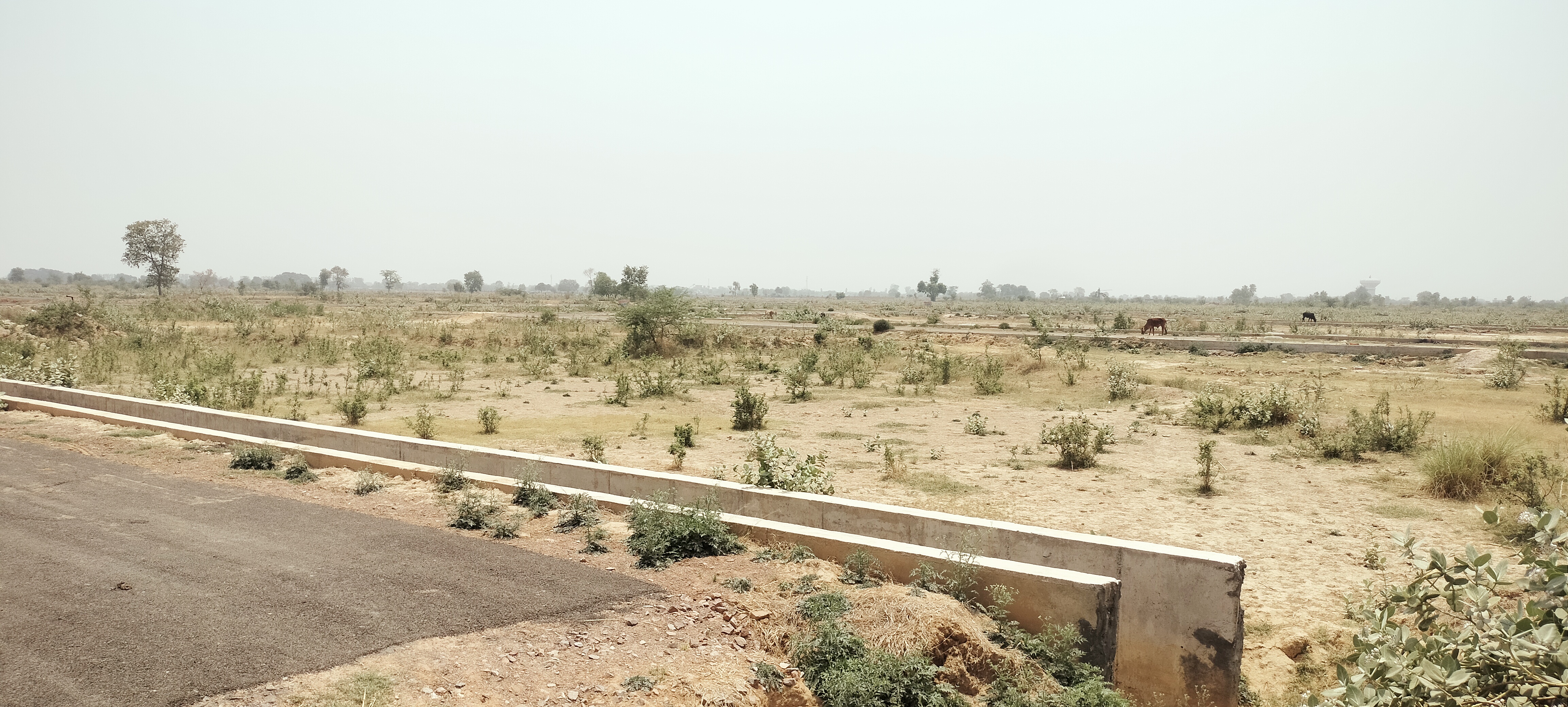 Plot For Sale in Sector 18 Yamuna Expressway