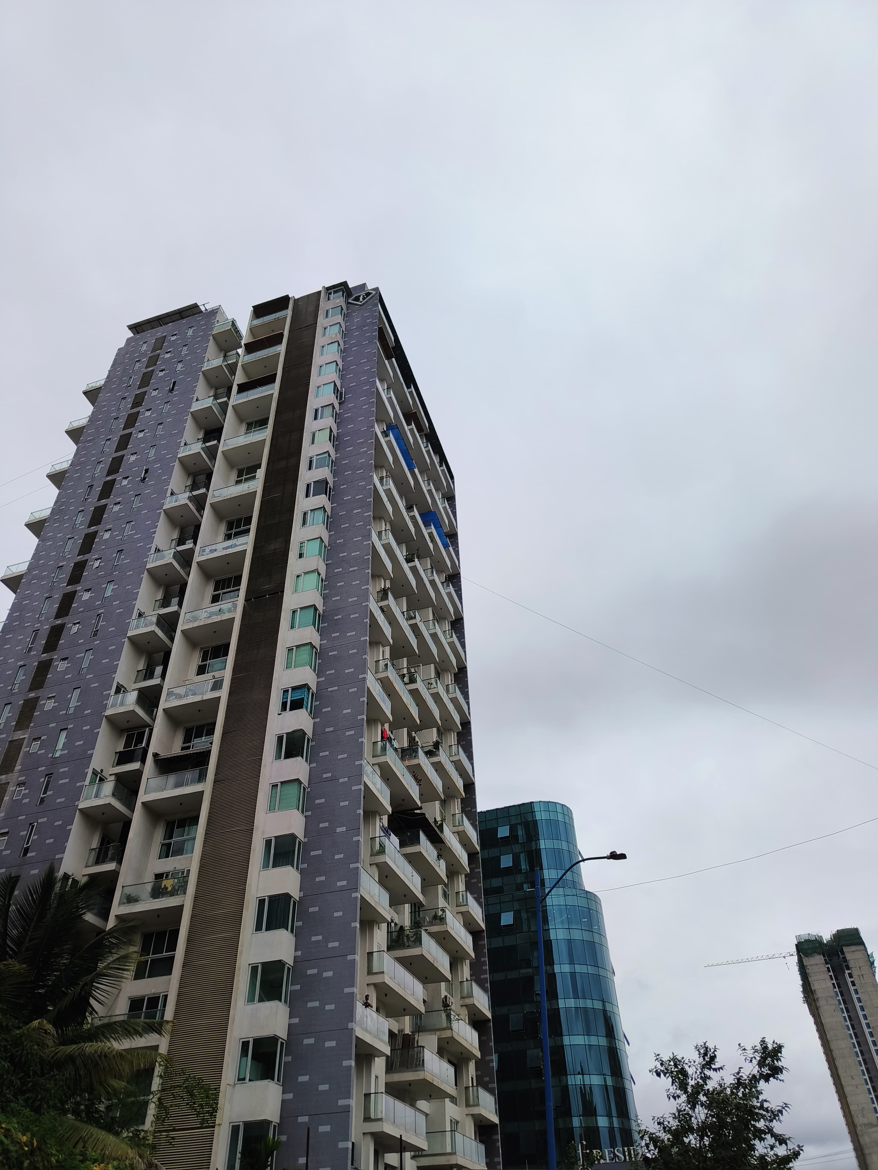 3 BHK Apartment For Rent in Avon Vista