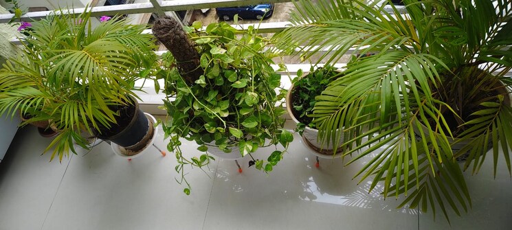 Garden, courtyard-by-narang-realty-and-the-wadhwa-group 2 Bedroom 950 Sq.Ft. Apartment In Pokhran Road No Two Thane 9088124