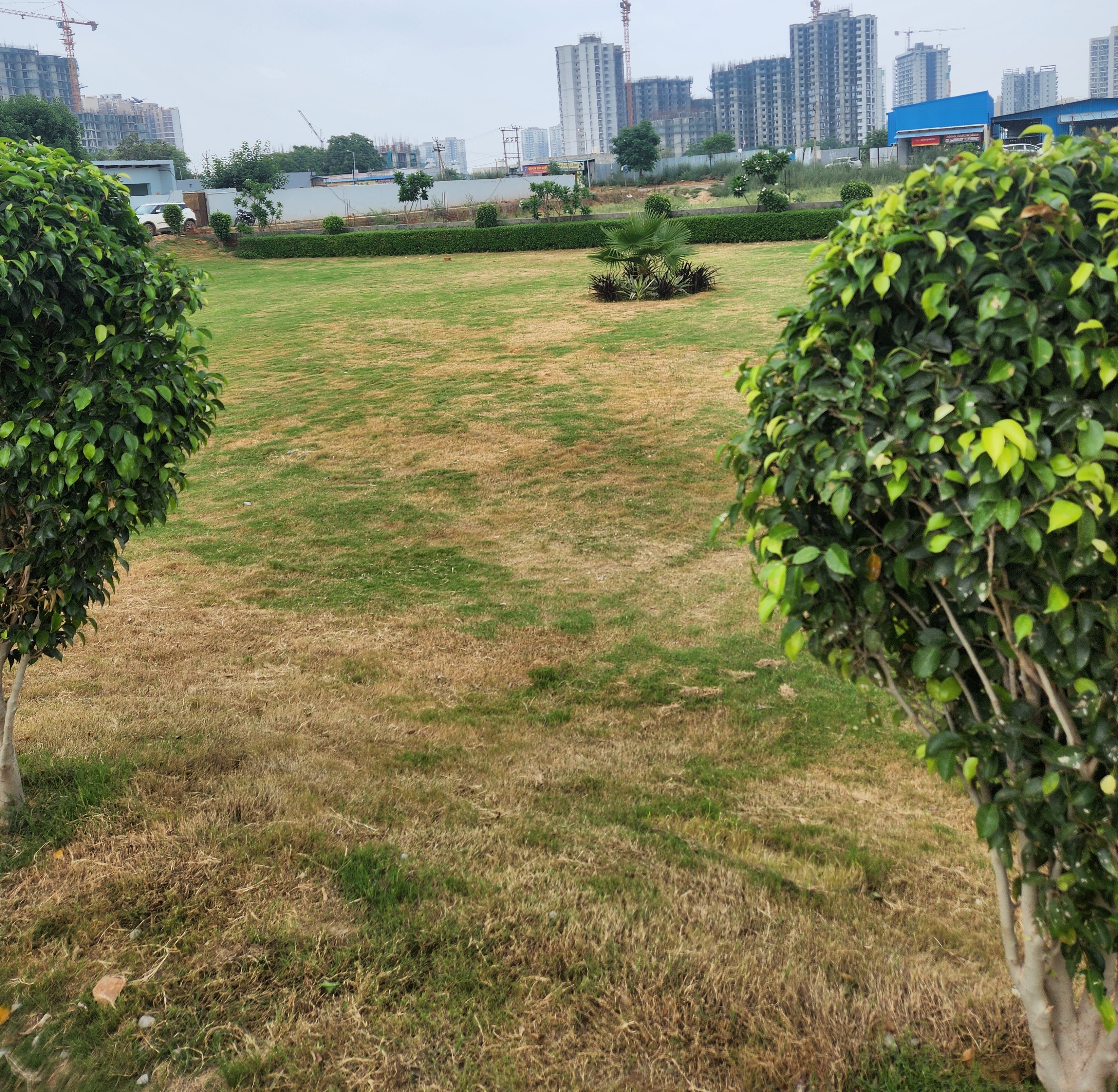 Plot For Sale in JMS Mega City