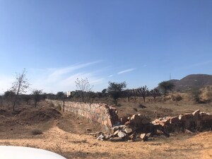  Plot For Sale in Renwal Manji