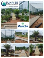 165 Sq.Yd. Plot in Amodha