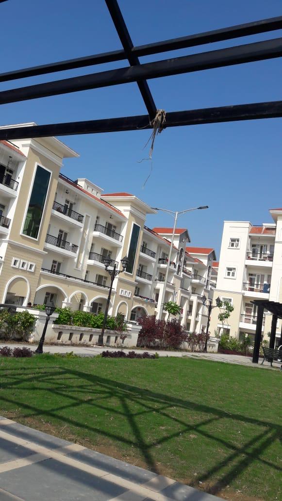 3 BHK + Pooja Room,Study Room Apartment For Rent in Desire Properties