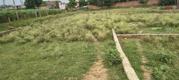 Plot Area in  Plot at Ramnagar – for Sale