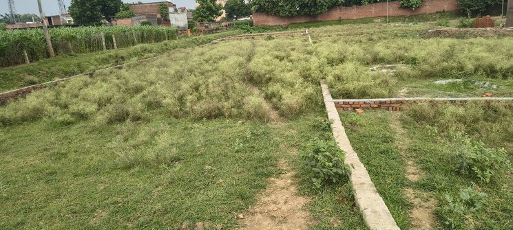 undefined, ramnagar  2720 Sq.Ft. Plot In Ramnagar Varanasi 9088750