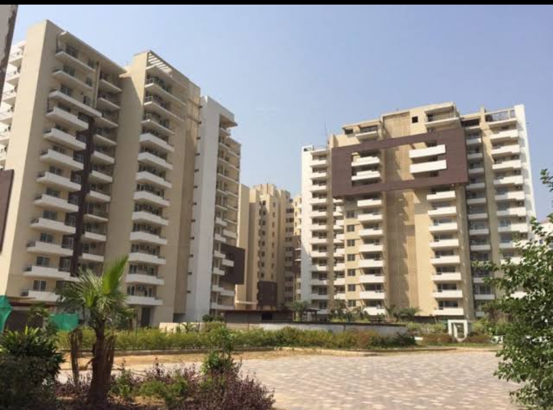 2 BHK Apartment For Rent in TDI Ourania
