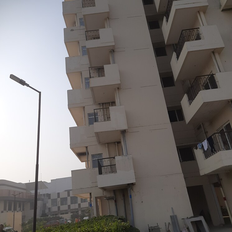Exterior View, pivotal-riddhi-siddhi 2 Bedroom 587 Sq.Ft. Apartment In Sector 99 Gurgaon 9088865