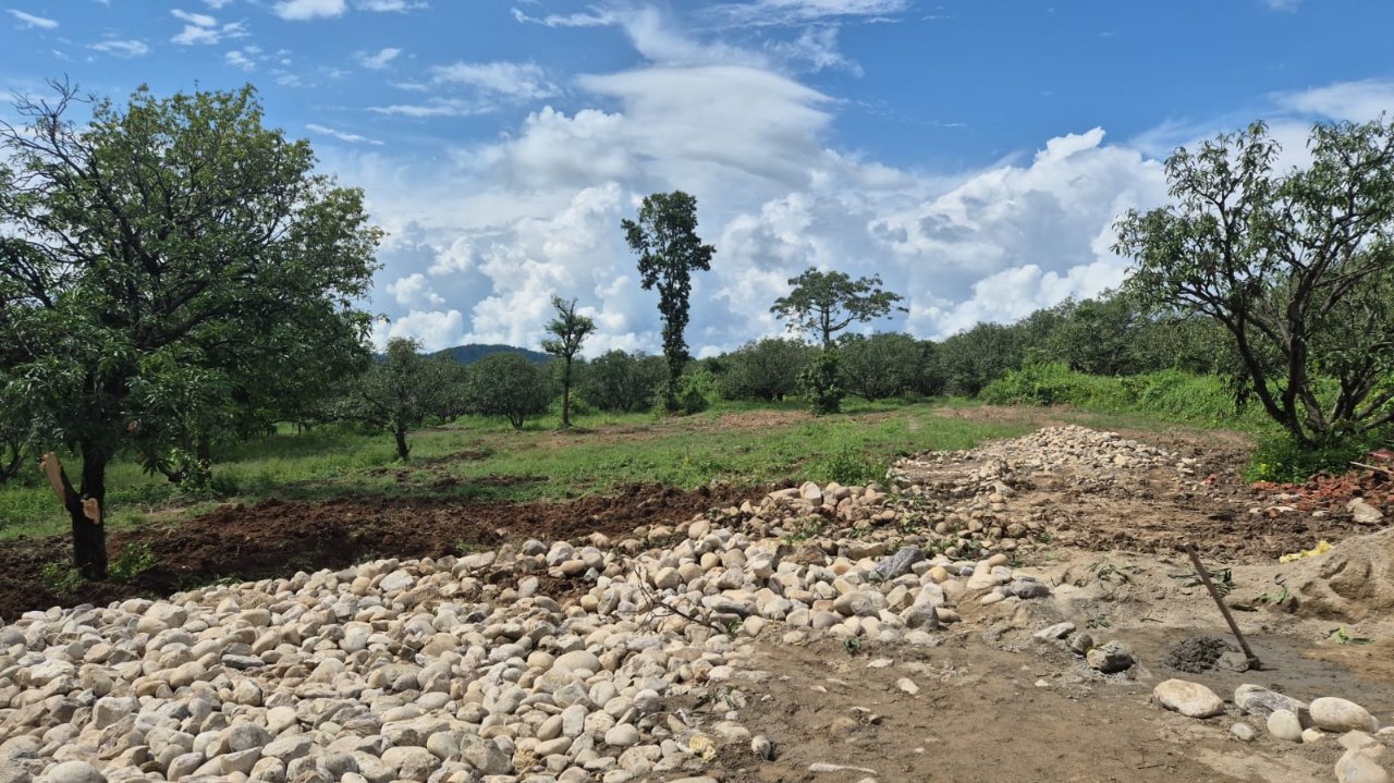 Plot For Sale in Royal Orchid Farms