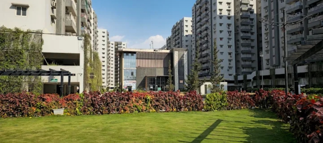 3 BHK Apartment For Rent in Jains Carlton Creek
