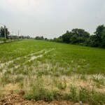 1 Acre Land in Sector 79