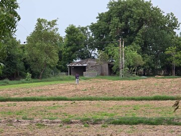 Plot Area in  Land at Science City – for Rent