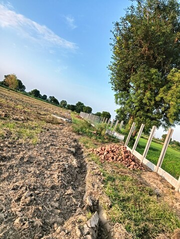Plot Area in  Plot at Gwalior Road – for Sale