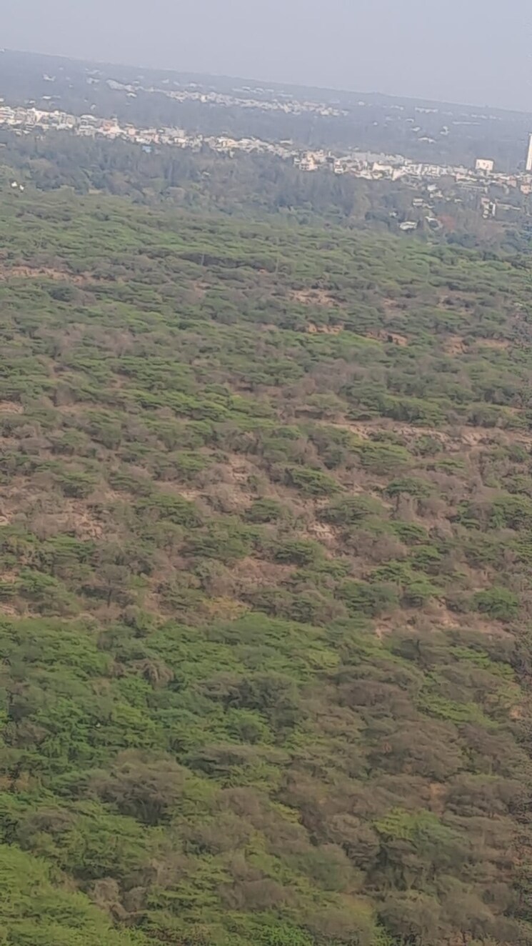 Entrance, dlf-one-midtown 4 Bedroom 3030 Sq.Ft. Apartment In Moti Nagar Delhi 9089342