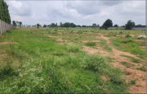  Plot For Sale in Devanahalli