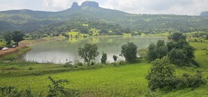  Plot For Sale in Igatpuri