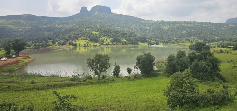 Garden, igatpuri  1500 Sq.Mt. Plot In Igatpuri Nashik 9089625