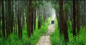  Plot – Garden View at Vythiri - for Sale