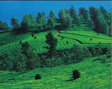  Plot For Sale in Vythiri
