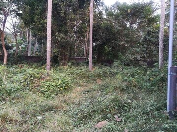 Plot Area in  Plot at Patturaickal – for Sale