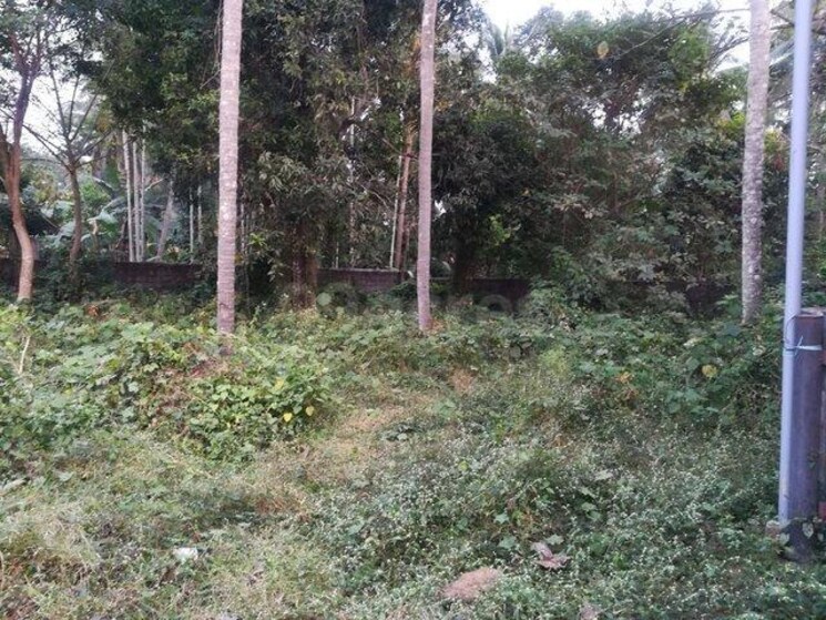 undefined, patturaickal  5662 Sq.Ft. Plot In Patturaickal Thrissur 9089553