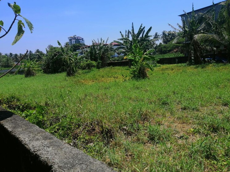 undefined, patturaickal  5662 Sq.Ft. Plot In Patturaickal Thrissur 9089553