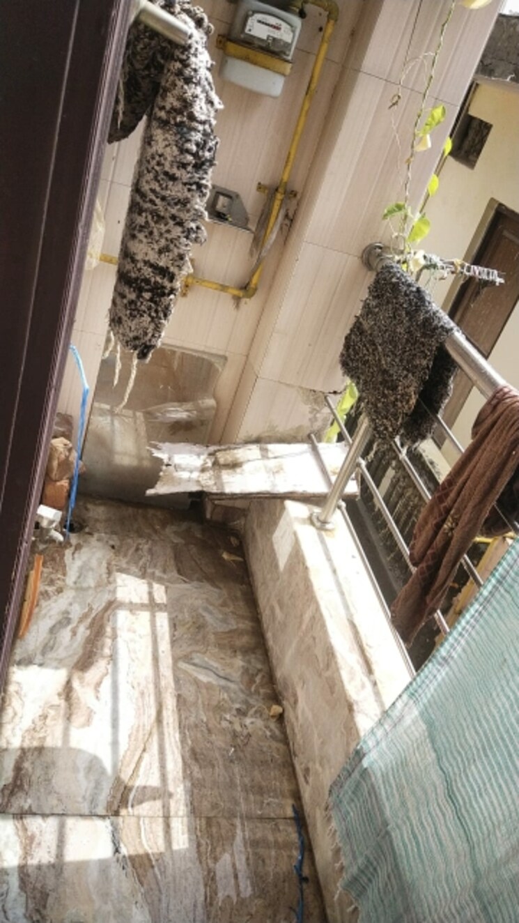 Balcony, mansa ram park 2 Bedroom 50 Sq.Yd. Builder Floor In Mansa Ram Park Delhi 9089651