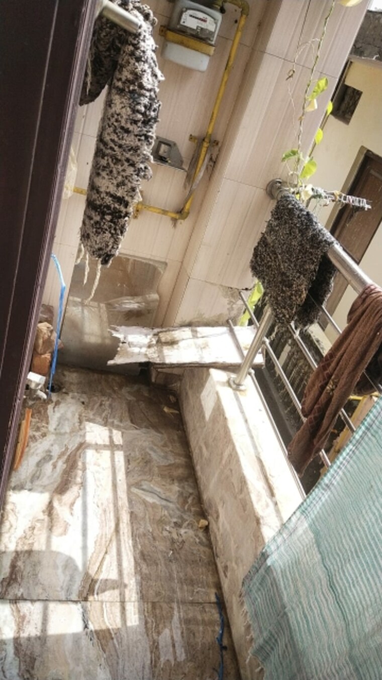 Balcony, mansa ram park 2 Bedroom 50 Sq.Yd. Builder Floor In Mansa Ram Park Delhi 9089651