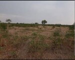 9 Acre Plot in Devanahalli