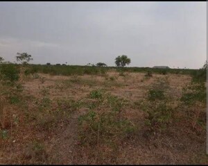  Plot For Sale in Devanahalli