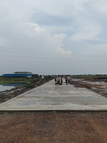  Plot – Exterior View View at Chhata - for Sale