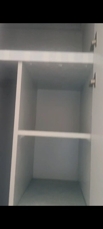2 BHK Apartment For Rent in Amrapali Dream Valley, Tech Zone 4 Greater Noida
