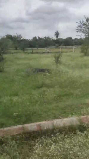 Plot Area in  Plot at Shadnagar – for Sale