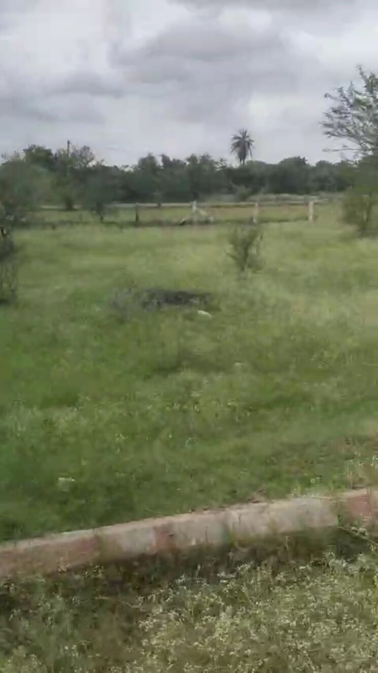 undefined, shadnagar  368 Sq.Yd. Plot In Shadnagar Hyderabad 9090031