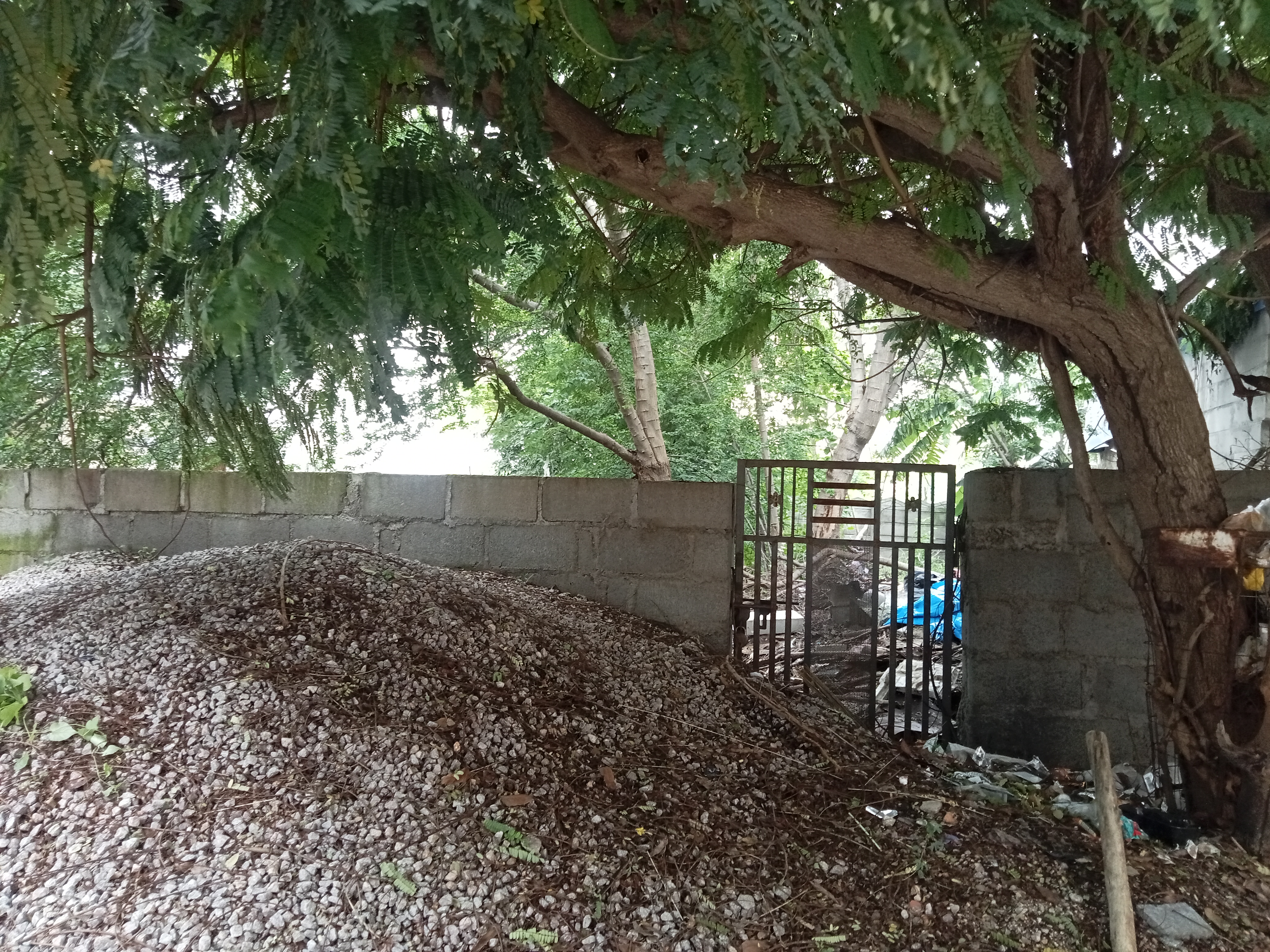 Plot For Sale in Serilingampally