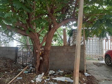  Plot – Exterior View View at Serilingampally - for Sale