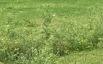 Plot For Sale in Sector 80