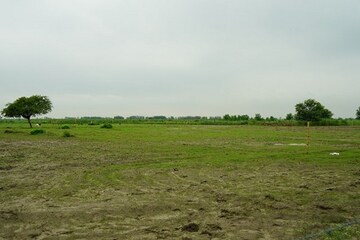 Plot For Sale in Jattari