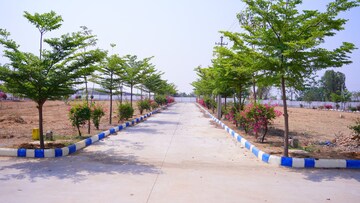 Plot Area in  Plot at Medchal – for Sale