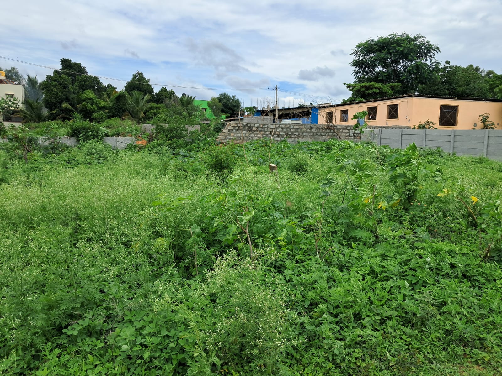 Plot For Sale in Arakavathi Layout