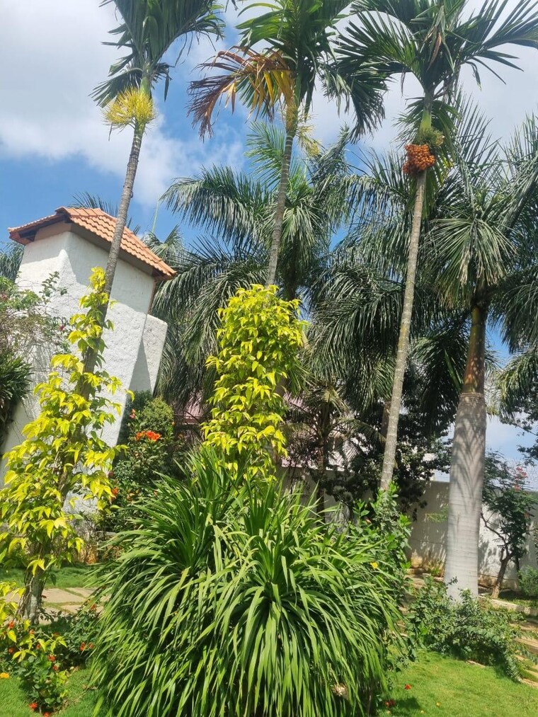 Garden, yelahanka  2824 Sq.Ft. Plot In Yelahanka Bangalore 9091676