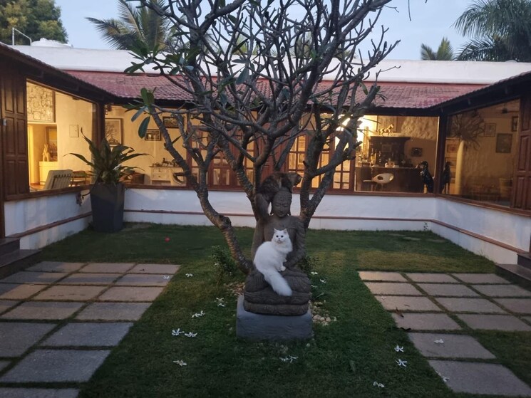 Gym, yelahanka  2824 Sq.Ft. Plot In Yelahanka Bangalore 9091676